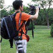 騎牛背上去旅游